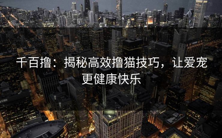 千百撸：揭秘高效撸猫技巧，让爱宠更健康快乐