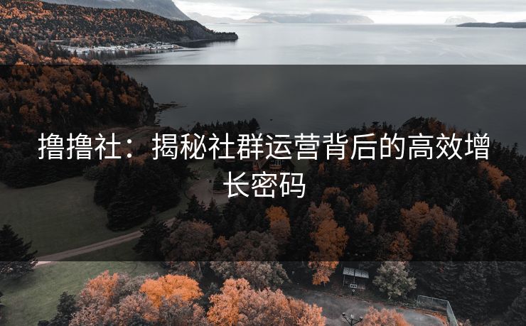 撸撸社：揭秘社群运营背后的高效增长密码