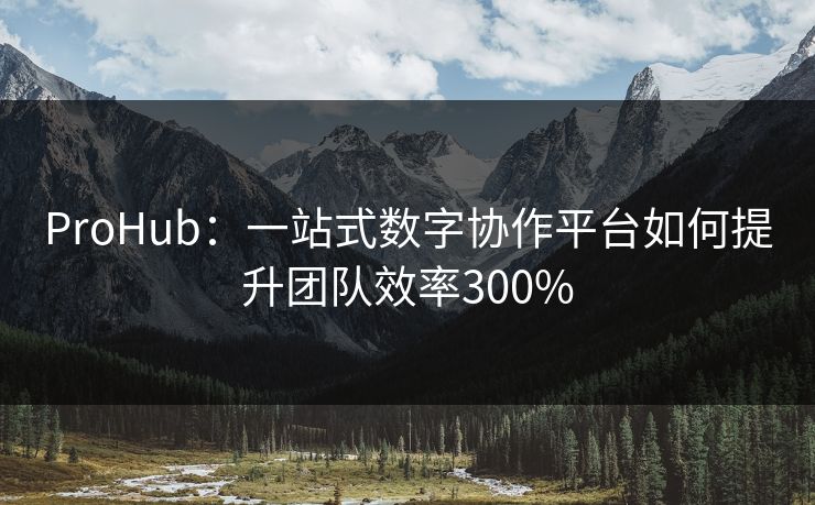 ProHub:一站式数字协作平台如何提升团队效率300% ProHub:一站式数字协作平台如何提升团队效率300%