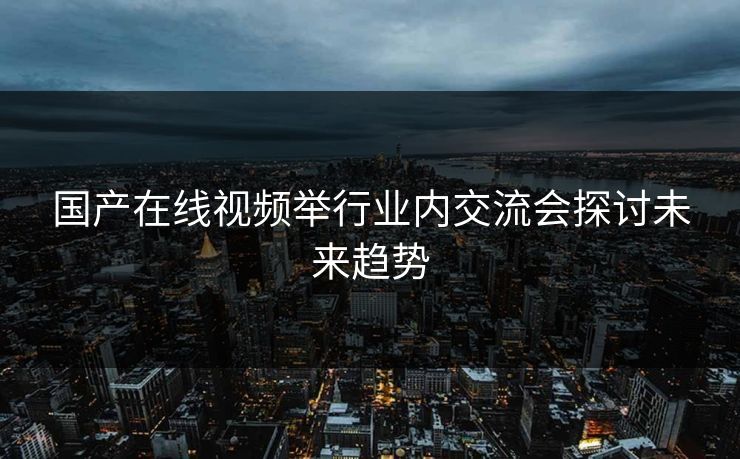 国产在线视频举行业内交流会探讨未来趋势