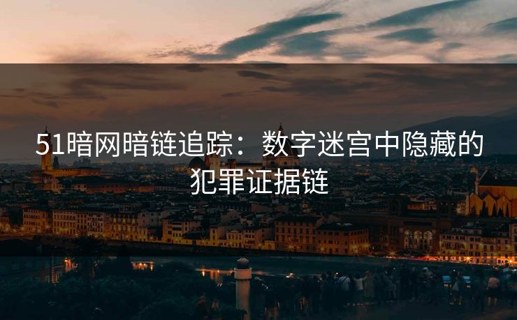 51暗网暗链追踪：数字迷宫中隐藏的犯罪证据链